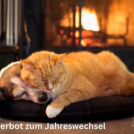 Haus Hesse 